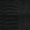 Alligator BLACK